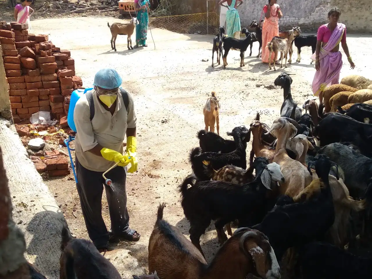 Goat Rearing- A Pathway to Prosperity