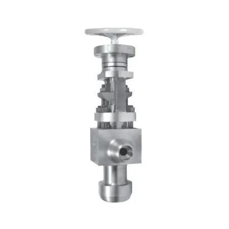 Blowdown Valves